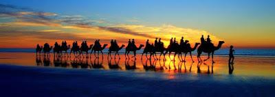 L'art de voyager à travers la vie ...