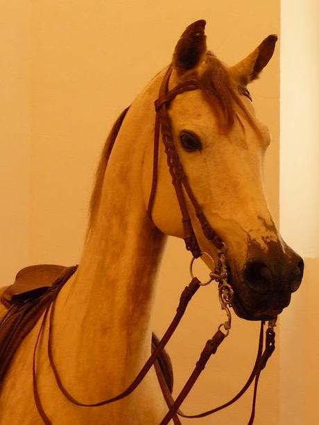 Les chevaux de Louis II de Bavière (2): Cosa rara, le cheval préféré du Roi