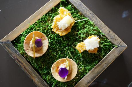 Tournus, la ville aux 4 étoiles