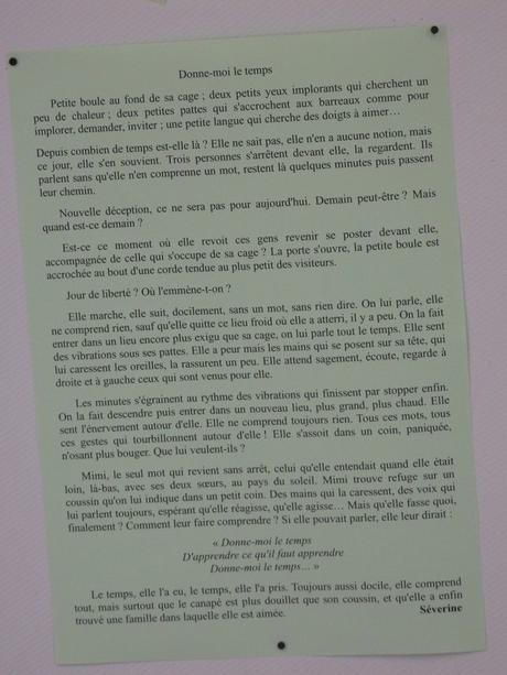 Écrire ensemble de 7 à 77 ans, est-ce possible ?