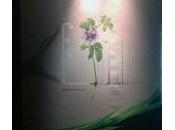 après-midi rêve Pershing Hall avec Naturactive