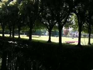 (Center Parcs – Les Bois Francs) Au pays des canards #3 center parcs mini ferme les bois francs 4