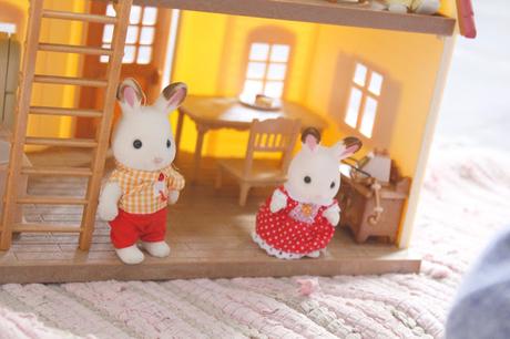 Un an avec les Sylvanian ♥