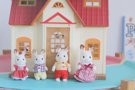 Un an avec les Sylvanian ♥