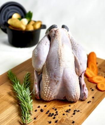Poulet noir Bio 91 jours (France - Vendée)