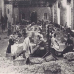 L’histoire du parfum…