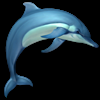 Dolphins 3D, Brain Wave, … : les promotions App Store du 6 juin 2016 Dolphins 3D, Brain Wave, … : les promotions App Store du 6 juin 2016