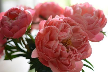 Mood of the day Mood of the day