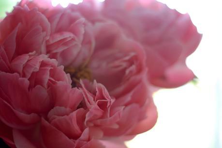 Mood of the day Mood of the day