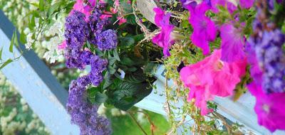 Toasts à l'houmos et aux asperges