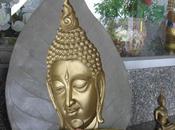chemin bouddha postures (diapo)