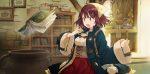 Date de sortie pour Atelier Sophie : The Alchemist of the Mysterious Book