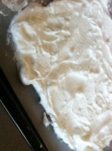meringue plaque