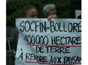 Occupy Bolloré