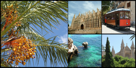 voyage-aux-baleares-autrement-palma