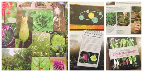 cuisine biodynamique