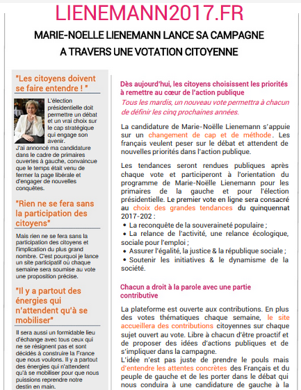 #Lienemann2017, vraiment ? Capture