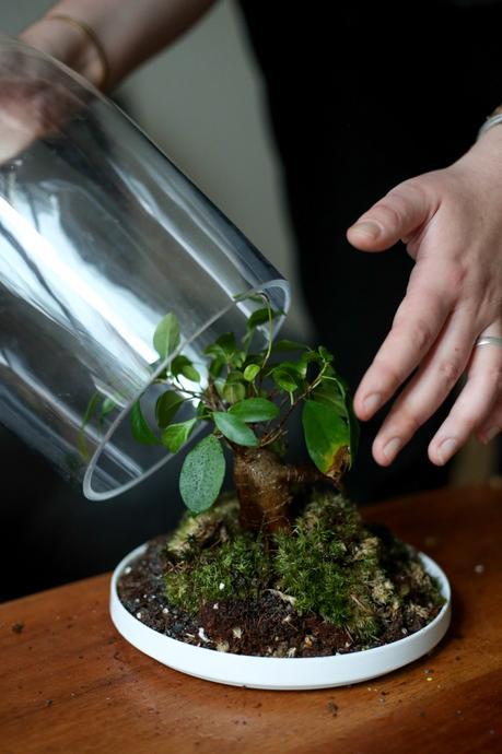 Instantanés No.1 Designer Box