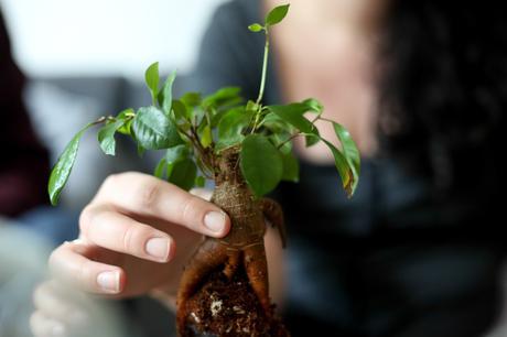 Instantanés No.1 Designer Box