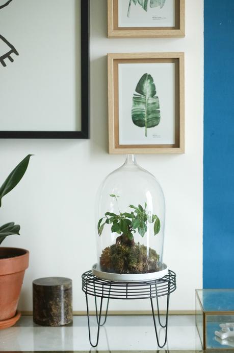 Instantanés No.1 Designer Box