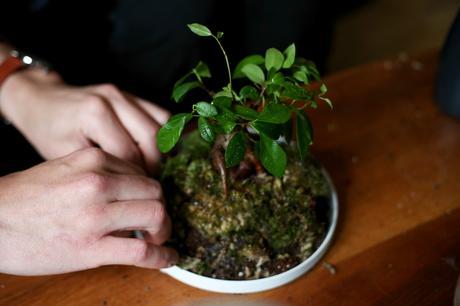 Instantanés No.1 Designer Box