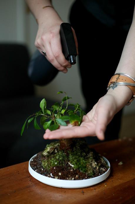 Instantanés No.1 Designer Box