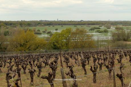 marais-goulaine-butte-roche-vue-2