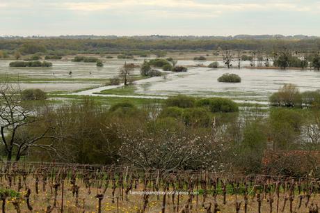 marais-goulaine-butte-roche-vue-1