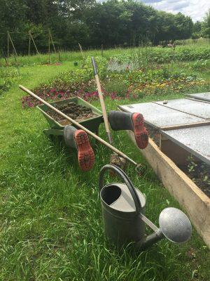 Fischli & Weiss, potager photo Pierre Jean Sugier