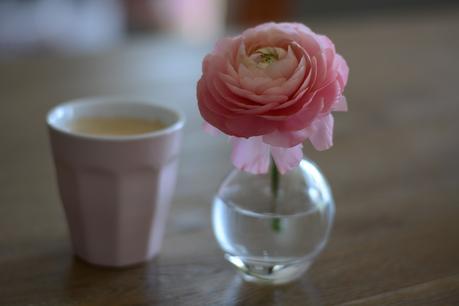 L’envie du vendredi L’envie du vendredi