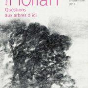 Exposition « Questions aux arbres d’ici » Alexandre Hollan | Musée de Lodève
