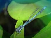 10/6/2016 yessssssssssssssss