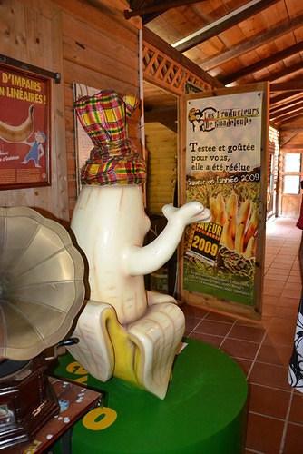 Séjour de deux semaines en Guadeloupe
