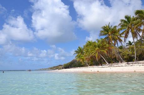 Séjour de deux semaines en Guadeloupe