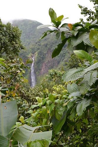 Séjour de deux semaines en Guadeloupe