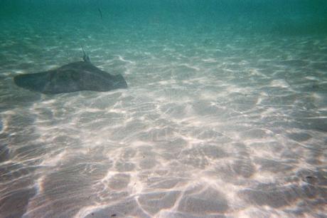 Séjour de deux semaines en Guadeloupe