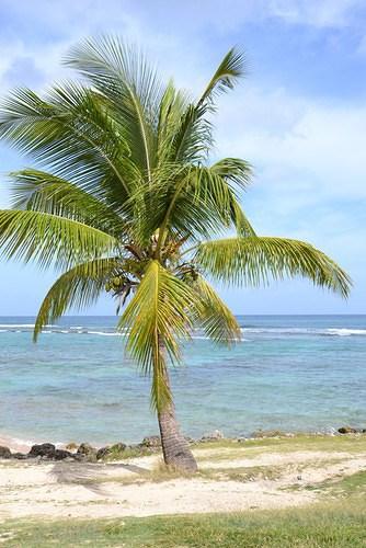 Séjour de deux semaines en Guadeloupe