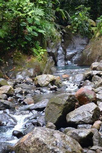Séjour de deux semaines en Guadeloupe