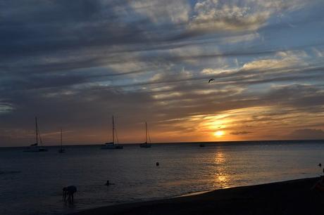 Séjour de deux semaines en Guadeloupe
