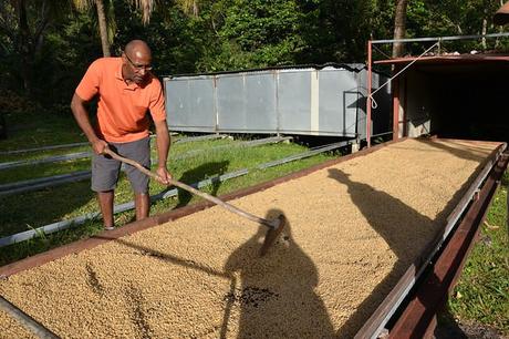 Séjour de deux semaines en Guadeloupe