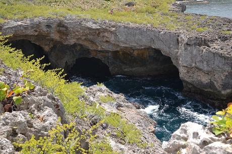 Séjour de deux semaines en Guadeloupe