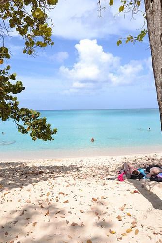 Séjour de deux semaines en Guadeloupe