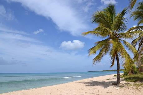 Séjour de deux semaines en Guadeloupe