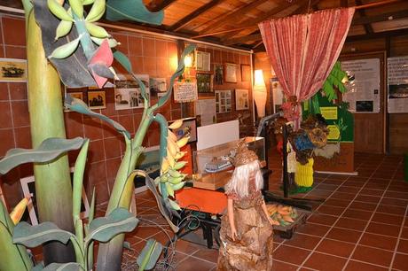 Séjour de deux semaines en Guadeloupe