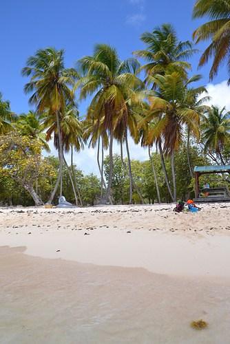 Séjour de deux semaines en Guadeloupe