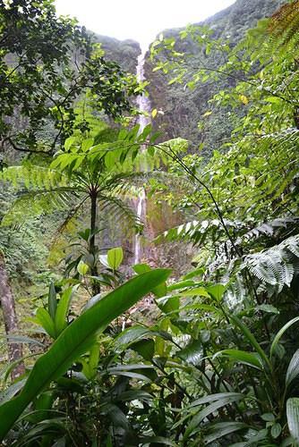 Séjour de deux semaines en Guadeloupe