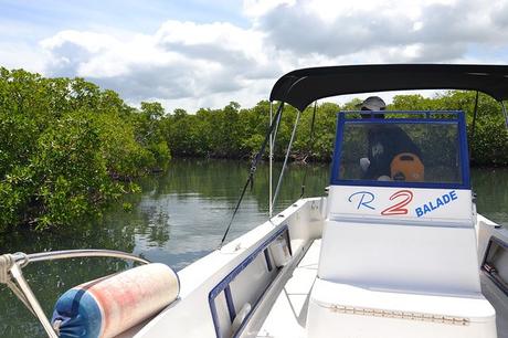 Séjour de deux semaines en Guadeloupe