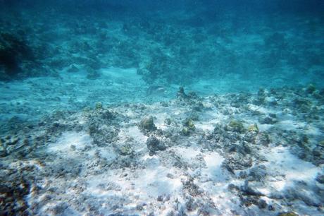 Séjour de deux semaines en Guadeloupe