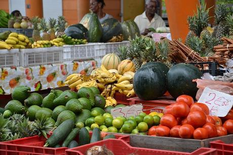 Séjour de deux semaines en Guadeloupe