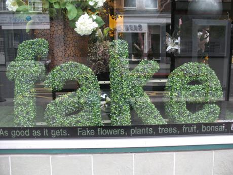 2529358702_2caaf266af_b